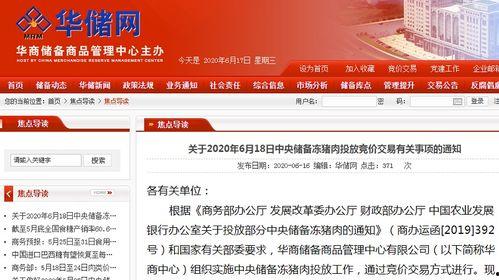 深圳时事爆料新闻直播,直播直击热点事件现场